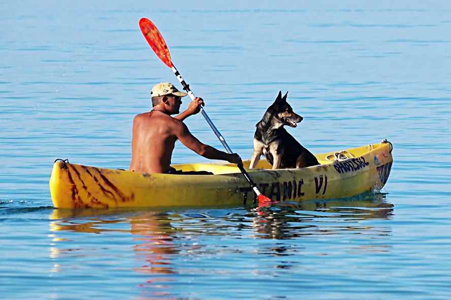 Best Kayak for Dogs: Pet-friendly Kayaks for You & Your Dog